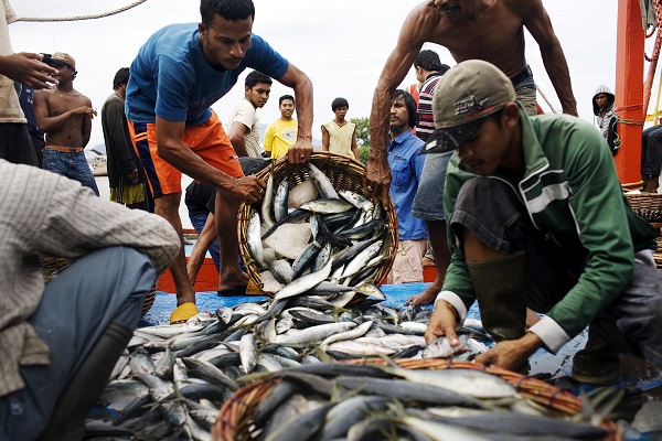 Pasang Surut Kehidupan Nelayan Indonesia - Sukawu Blog